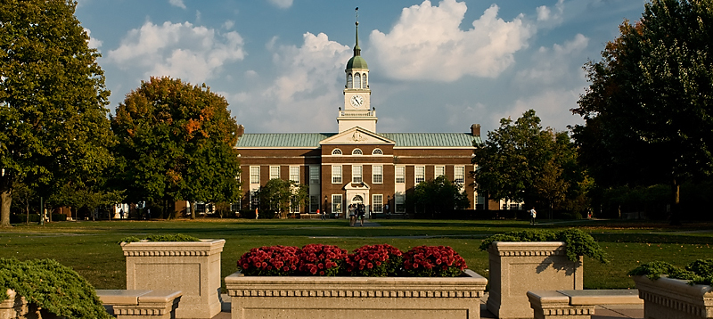 bucknell university essays